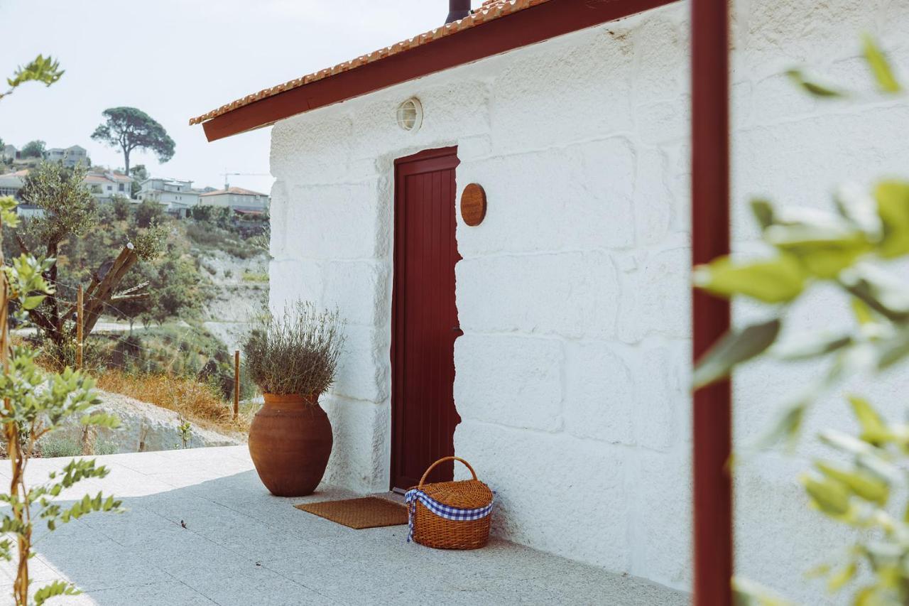 Oliveiras Village — Agroturismo 阿马兰特 外观 照片
